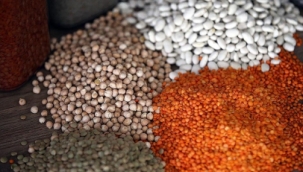 TÜİK'in iddiası: "Tahıl üretimi 2024'te %7,5 düştü"