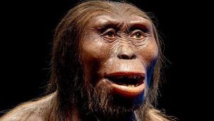 Araştırma: Modern insanın ataları vejetaryendi