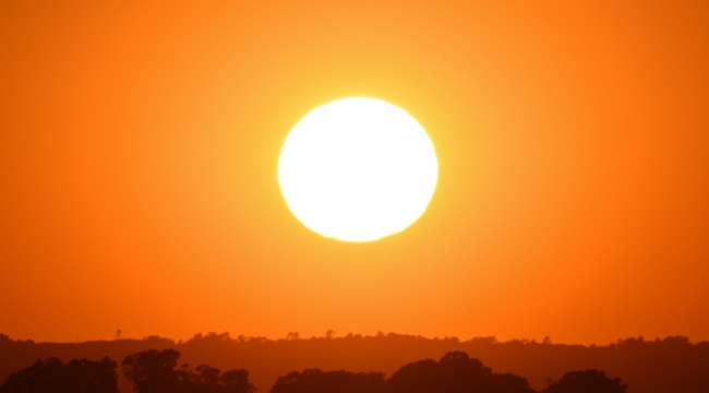 Copernicus: "Dünya 2024'te en sıcak yılı yaşadı"