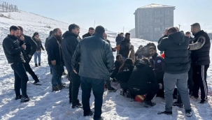 Hakkari'de sokak köpekleri bir çocuğu öldürdü