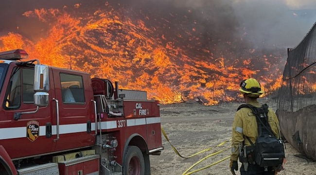 Los Angeles yangını: Ölü sayısı 29'a çıktı