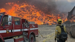 Los Angeles yangını: Ölü sayısı 29'a çıktı