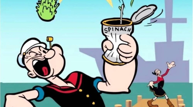 Temel Reis'in telif hakkı sona erdi