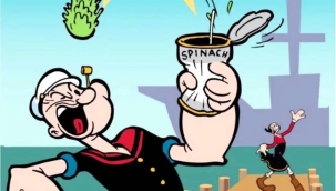 Temel Reis'in telif hakkı sona erdi