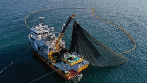 Trabzon'un 2024'te su ürünleri ihracatı %21 arttı