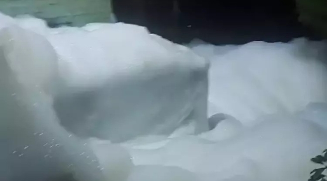 Yalova'nın sularında "kimyasal madde" şüphesi