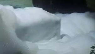 Yalova'nın sularında "kimyasal madde" şüphesi