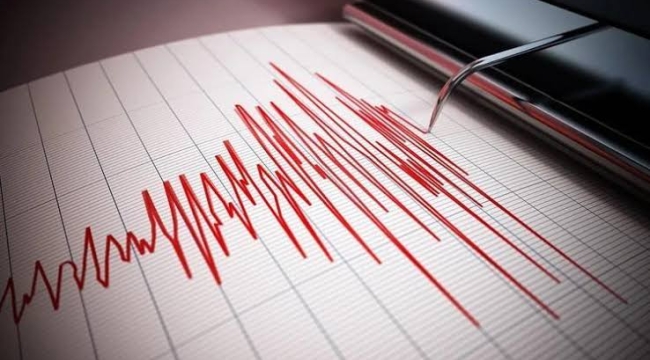 Ege Denizi'nde son 48 saatte 100 üzeri deprem