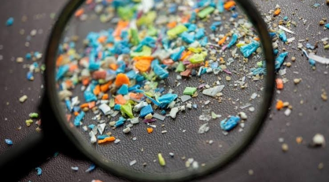 İnsan beynindeki miktroplastik 8 yılda %50 arttı