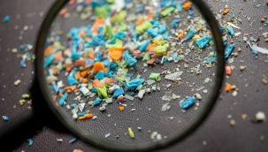 İnsan beynindeki miktroplastik 8 yılda %50 arttı