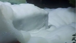 Sağlık Bakanlığı: "Yalova'nın sularında sorun yok"