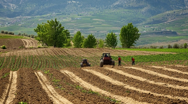 TÜİK'in iddiası: "Tarım-ÜFE Ocak'ta yıllık %35,54"