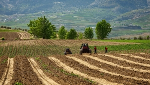 TÜİK'in iddiası: "Tarım-ÜFE Ocak'ta yıllık %35,54"