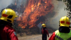 Yangınlarla mücadele eden Şili'de OHAL ilan edildi