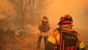 Güney Kore'de orman yangınları: 24 kişi öldü