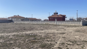 Konya'da Rana bebek, köpek saldırısında öldü