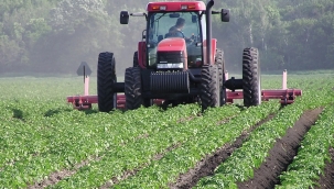 TÜİK'in iddiası: "Tarım-ÜFE Şubat'ta yıllık %29,89"