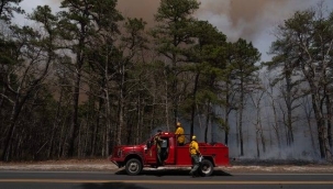 ABD'nin New Jersey eyaletinde orman yangını