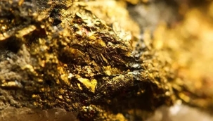 Fransa'da tarım arazisinde altun yatağı bulundu