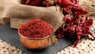 GAİB: "İlk çeyrekte pul biber ihracatı 3,6 milyon $"