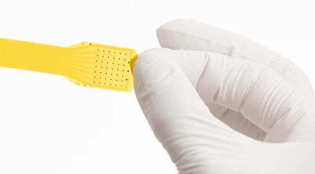 Precision'ın beyin implantına FDA onayı