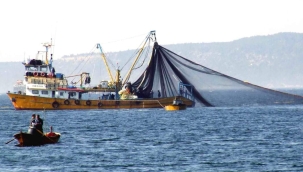 Türkiye karasularında av yasağı başlıyor