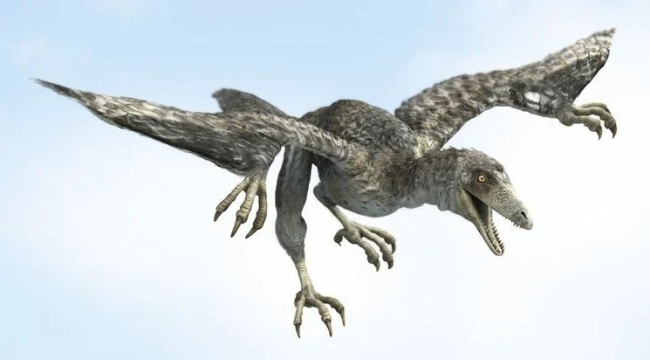 Arkeopteriks dinozorunun uçabildiği keşfedildi