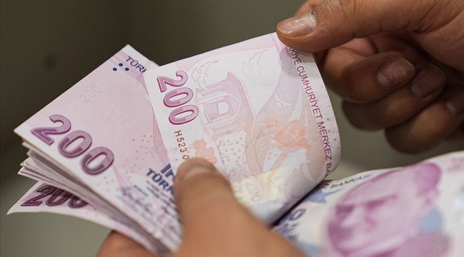 Asgari ücret dolar karşısında 5 ayda 2.200 TL eridi