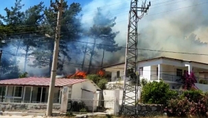 Muğla'nın Marmaris ilçesinde orman yangını