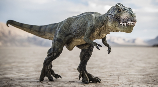T-rex'ler Kuzey Amerika'ya Asya'dan göç etmiş