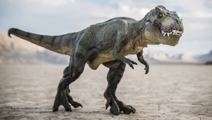 T-rex'ler Kuzey Amerika'ya Asya'dan göç etmiş