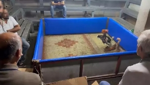 Adana'da horoz dövüştüren 5 şüpheli yakalandı