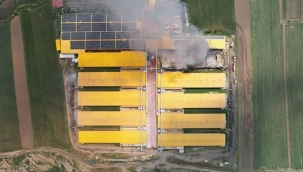 Ankara'da tavuk yumurtası üretim tesisinde yangın