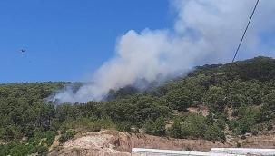 Antalya'nın Finike ilçesinde orman yangını