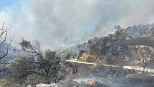 Aydın'ın Efeler ilçesinde orman yangını