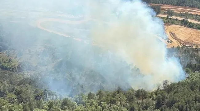 Balıkesir'in Bigadiç ilçesinde orman yangını