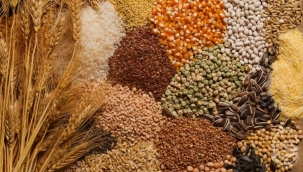 Hububat ihracatı yılın ilk 5 ayında 5,2 milyar $