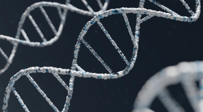 İngiltere'de "yapay insan DNA'sı" projesi başladı