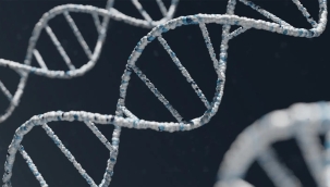 İngiltere'de "yapay insan DNA'sı" projesi başladı