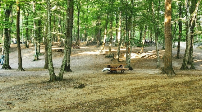 İstanbul'da ormanlık alanlara girişler yasaklandı