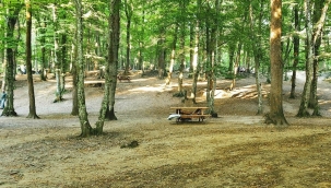 İstanbul'da ormanlık alanlara girişler yasaklandı