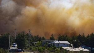 Bornova'da orman yangını
