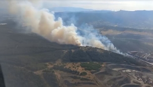 İzmir'in Aliağa ilçesinde orman yangını