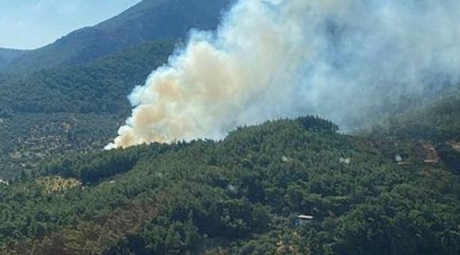 İzmir'in Kemalpaşa ilçesinde orman yangını
