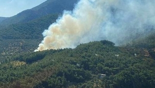 İzmir'in Kemalpaşa ilçesinde orman yangını