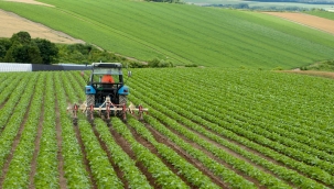 Kuraklık ve zirai don tarımda verimi düşürdü