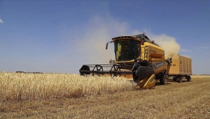 TÜİK'in iddiası: "Tarım-GFE Nisan'da aylık %2 arttı"