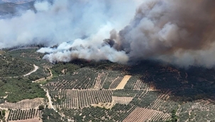 Türkiye'de son 2 günde 150 orman yangını çıktı