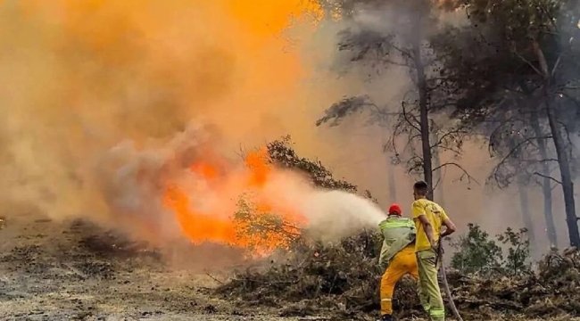 Türkiye genelinde son 2 günde 150 orman yangını