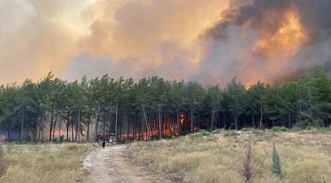 Antalya'da orman yangını